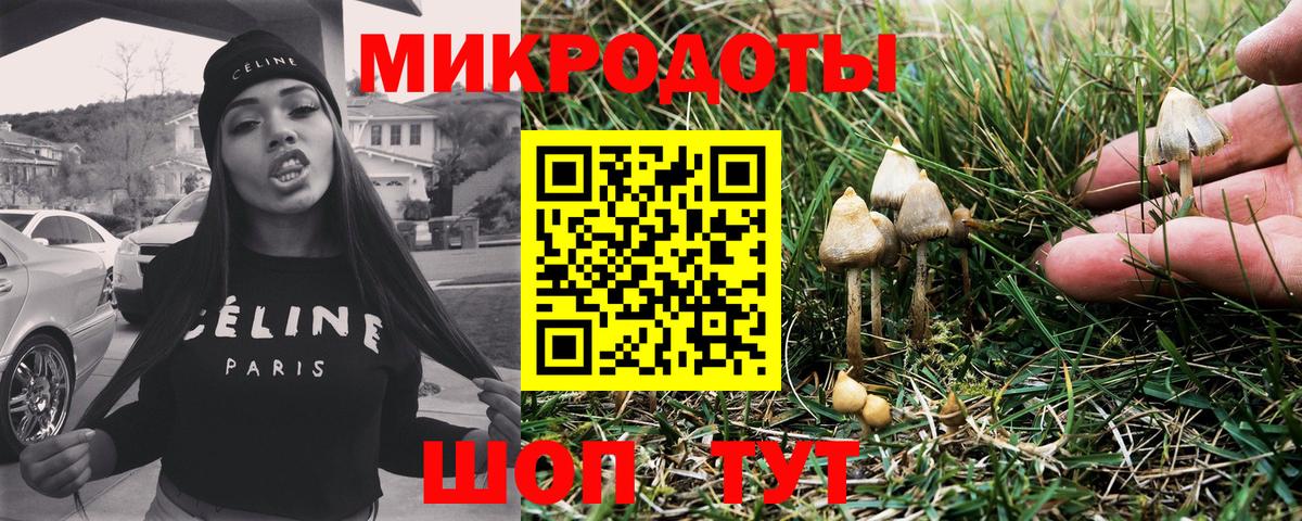 Тимашёвск  Псилоцибиновые грибы мицелий  Вход с VPN  наркотики  Псилоцибиновые грибы Psilocybe 