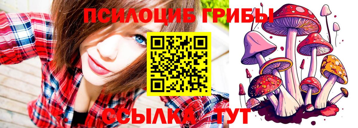 Псилоцибиновые грибы GOLDEN TEACHER Тимашёвск