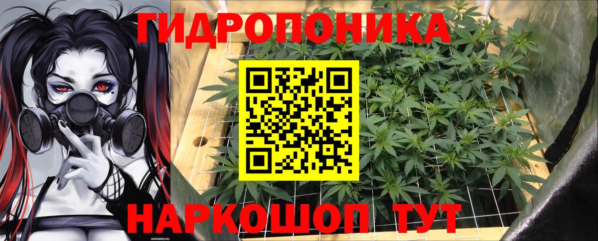 Шишки марихуана индика Тимашёвск